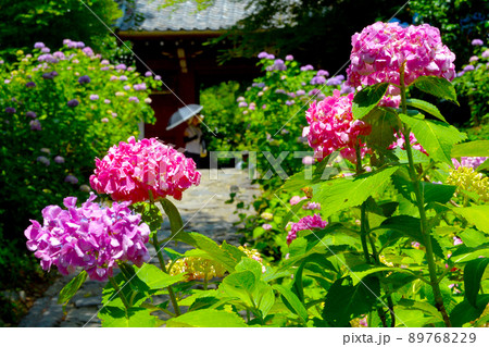 風情あるあじさい寺の紫陽花 89768229