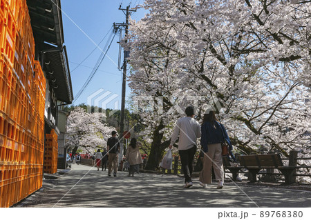 210411中橋桜z604 89768380