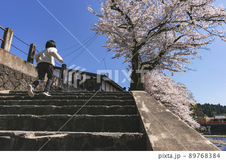 210411中橋桜z465 89768384