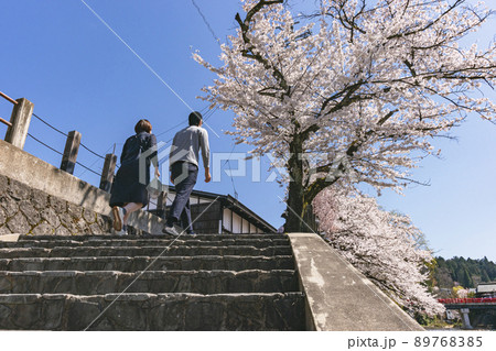 210411中橋桜z464 89768385
