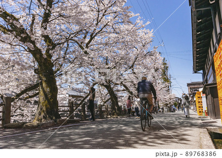 210411中橋桜z384 210411中橋桜z384 89768386