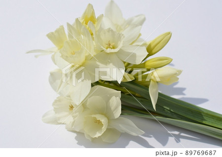 白い雫水仙の花束　  89769687