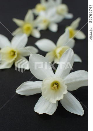 白い雫水仙の花がいっぱい 89769747