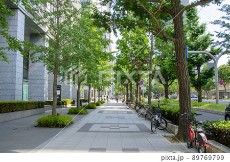 新緑の御堂筋 89769799