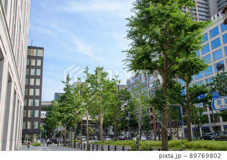 新緑の御堂筋 89769802