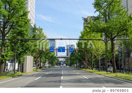 新緑の御堂筋 89769803