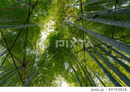 報国寺 報国寺 89769838