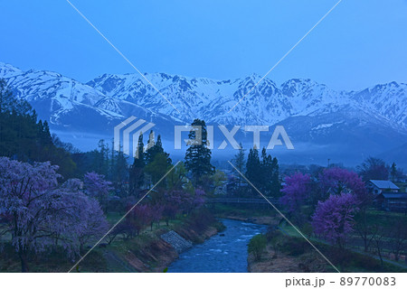 長野県　白馬村　大出公園　春の夜明け 89770083