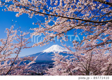 日本のイメージ「満開の桜と富士山」 89771410