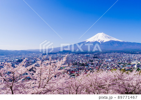 日本のイメージ「満開の桜と富士山」 日本のイメージ「満開の桜と富士山」 89771467