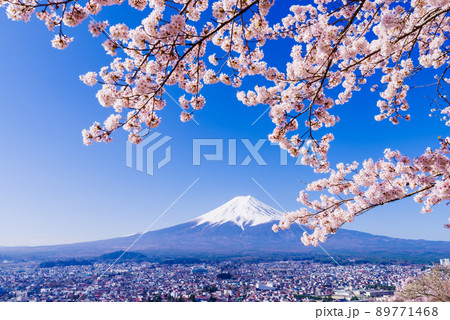日本のイメージ「満開の桜と富士山」 日本のイメージ「満開の桜と富士山」 89771468