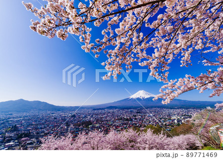 日本のイメージ「満開の桜と富士山」 89771469