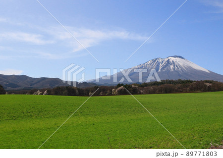 南東から望む岩手山 南東から望む岩手山 89771803
