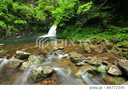 千手滝(赤目四十八滝)   【三重県名張市】 89772595