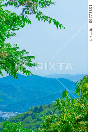 兵庫県　姫路市　書写山　新緑のある風景 89773831