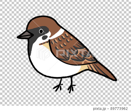 雀のイラスト 89773962