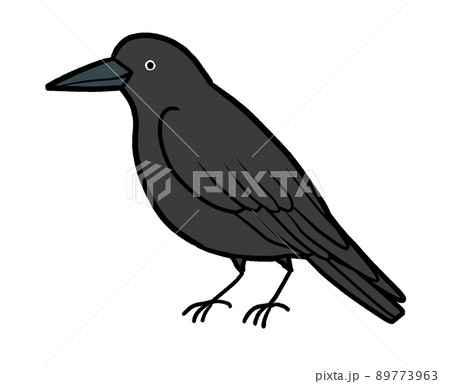 カラスのイラスト 89773963