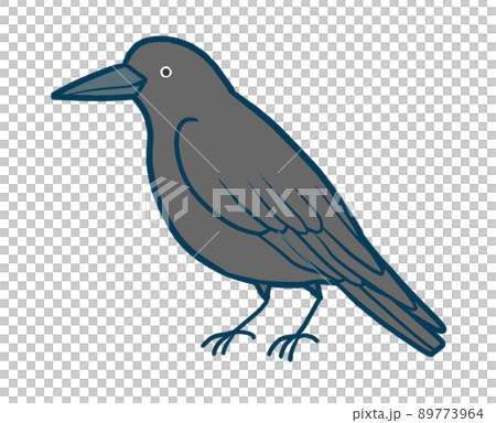 カラスのイラスト 89773964