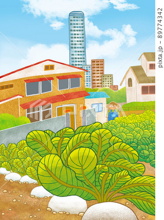 都会の中の畑で野菜作り 都会の中の畑で野菜作り 89774342