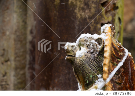 雪が積もる信楽焼き狸 雪が積もる信楽焼き狸 89775396