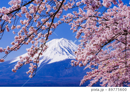 日本の風景「富士山」 日本の風景「富士山」 89775600