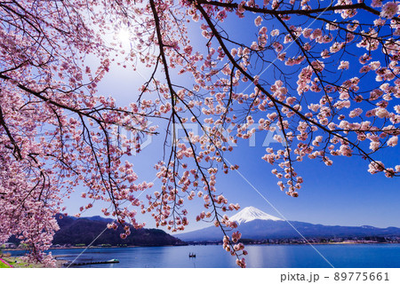 日本の風景「富士山」 89775661