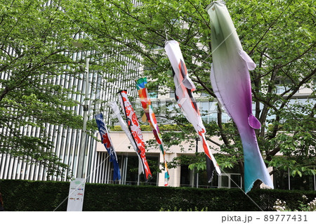 風になびく鯉のぼり 89777431