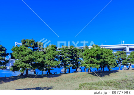 【東京の都市風景】お台場（第三台場）の都市風景 89777998