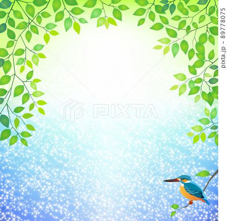 きらめく川と新緑の森に暮らすカワセミ きらめく川と新緑の森に暮らすカワセミ 89778075