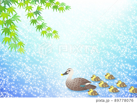 きらめく水面を泳ぐカルガモの家族 きらめく水面を泳ぐカルガモの家族 89778076