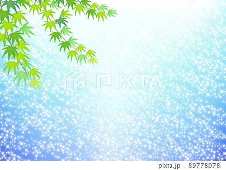 新緑のモミジときらめく水面 89778078