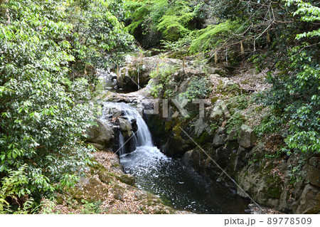 水間寺(聖観世音出現の滝)　【大阪府貝塚市】 89778509