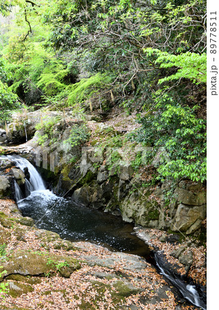 水間寺(聖観世音出現の滝) 【大阪府貝塚市】 水間寺(聖観世音出現の滝) 【大阪府貝塚市】 89778511