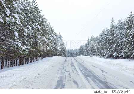 landscape of snowy winter road through a pine forest outside the city 89778644