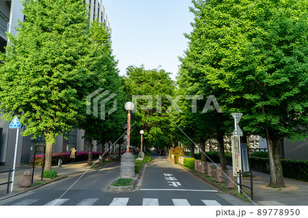 新宿区　コズミック通り 89778950