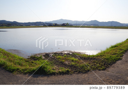 農道から水田に農耕機が進入するスロープ状の斜面 ... 島根県安来市：快晴 89779389