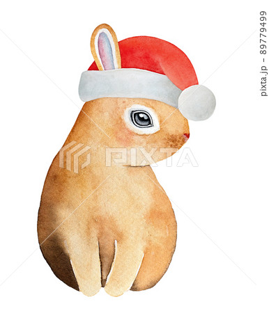 Watercolour illustration of cute adorable rabbit wearing bright red Santa Claus hat. Hand painted water color graphic drawing on white background, cut out element for design, print, banner, card. 89779499
