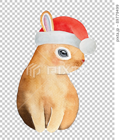 Watercolour illustration of cute adorable rabbit wearing bright red Santa Claus hat. Hand painted water color graphic drawing on white background, cut out element for design, print, banner, card. 89779499