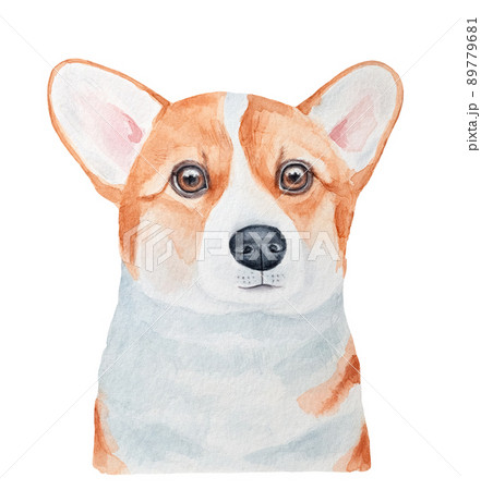 Watercolour portrait of little Welsh Corgi Pembroke dog puppy character. Hand painted sketchy illustration on white background, cut out clip art element for design, card, poster, mug or t-shirt print. 89779681