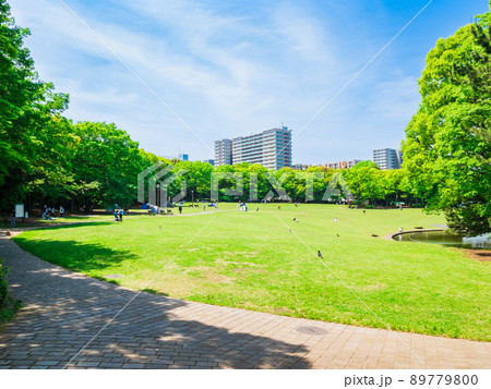 郊外の住宅地 休日の公園 郊外の住宅地 休日の公園 89779800
