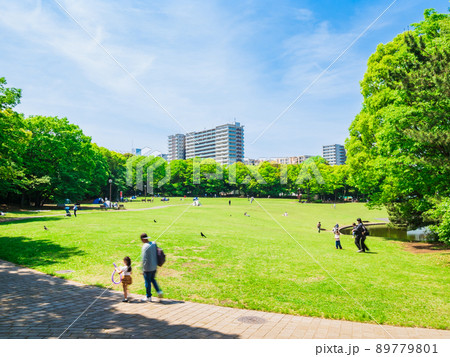 郊外の住宅地 休日の公園 郊外の住宅地 休日の公園 89779801