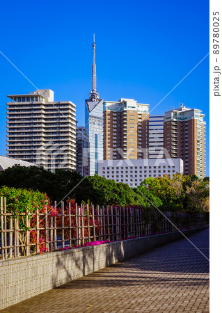 よかトピア開催時に建設された福岡タワー（福岡県福岡市百道浜） 89780025