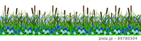 Grass reeds, riversidegrassland landscape, blue flowers. Seamless repeat pattern, green summer lawn, coastline of pond or lake. Isolated on white background. Vector illustration. 89780304
