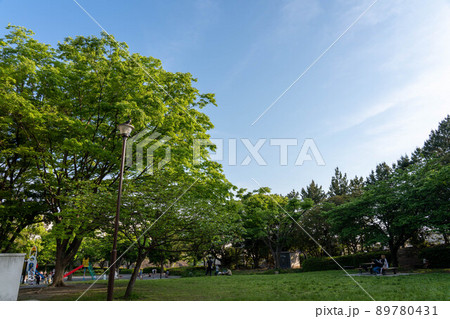 公園 89780431