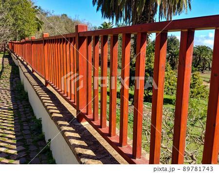 Flowers and trees in the Finca de Osorio Botanical Park near Teror, Gran Canaria Island, Spain 89781743