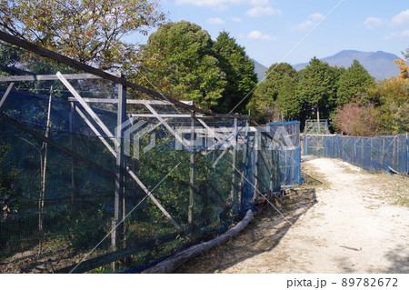 可部ヤママユ蛾の飼育施設の景色 可部ヤママユ蛾の飼育施設の景色 89782672