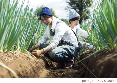 畑仕事を楽しむ若い男女 89783087