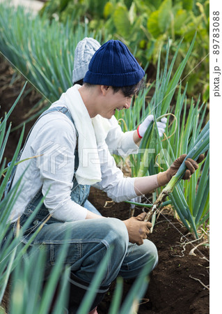 畑仕事を楽しむ若い男女 89783088