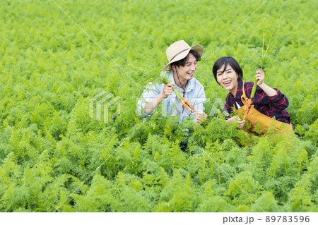 野菜を育てる若い男女 野菜を育てる若い男女 89783596