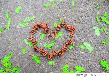 ハートの松ぼっくり 89783629